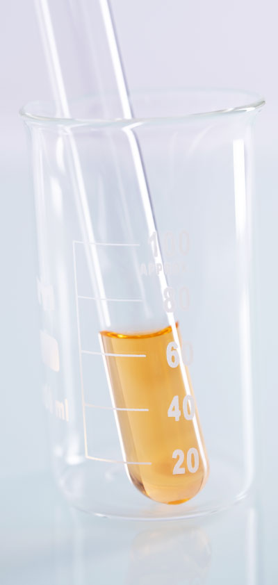 製造尿液 移除代謝廢物